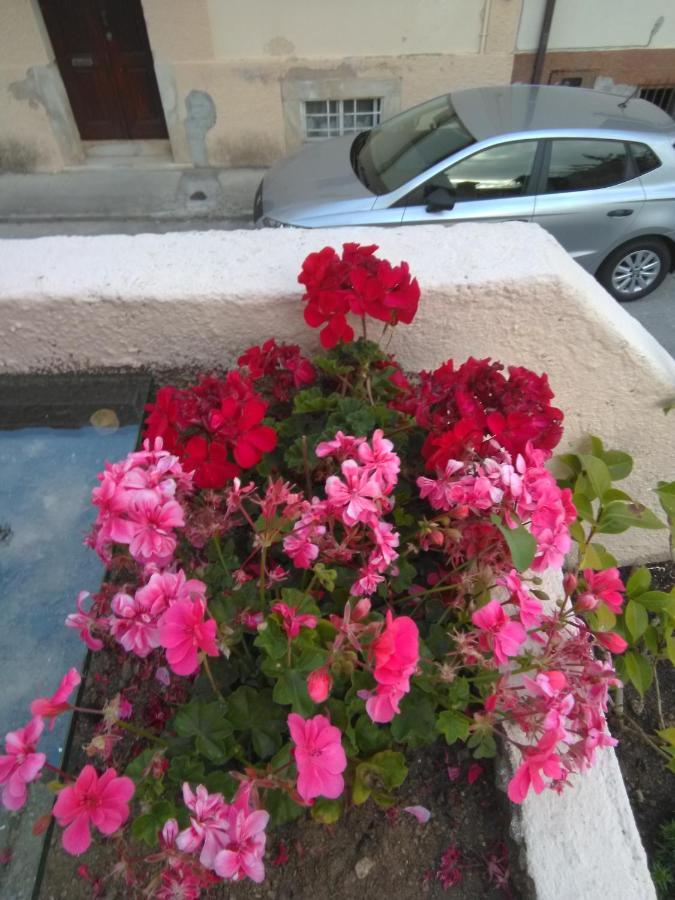 Farol De Vida Apartment Коимбра Екстериор снимка